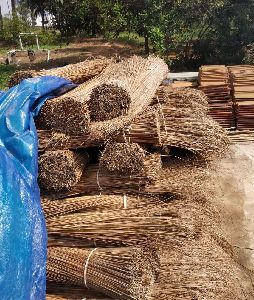 Coconut Stick Broom