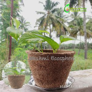 Coco Fibre Pots