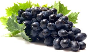 fresh black grapes