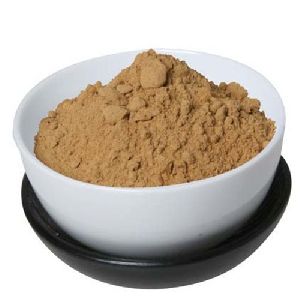 Amaltas Extract Powder