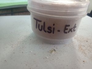 Tulsi Extract,tulsi extract