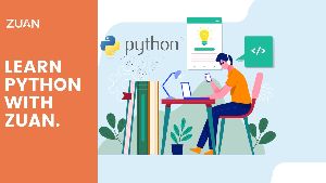 python programming language COACHING SERVICES