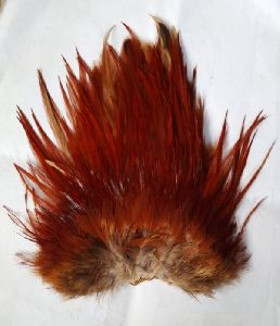 Indian Cock Cape Hackle