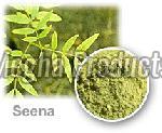 senna leaf
