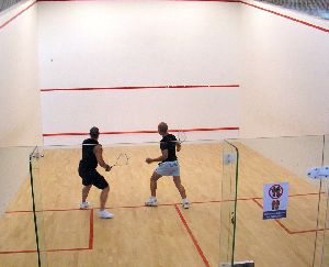 squash court wall painting services