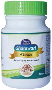 shatavari powder
