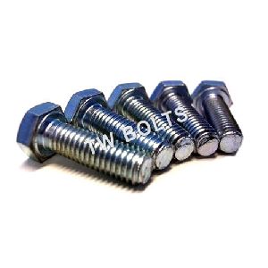 Cold Forged Screws