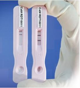 Progesterone Test Kit