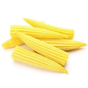 Fresh Baby Corn