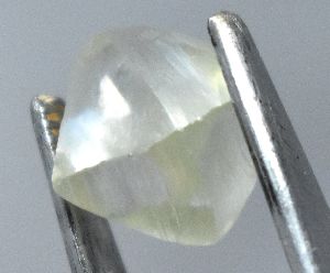 Rough Moissanite available cut pieces ready for polish