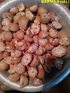 betel nuts
