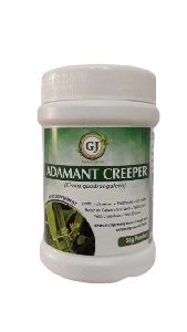 Adament Creeper Herbal Powder
