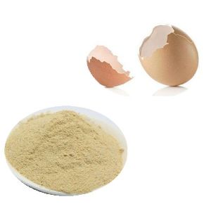 egg shell powder