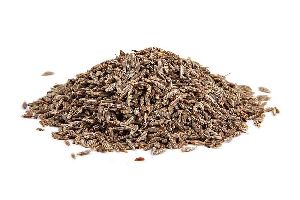 cumin seed