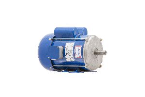 2 HP Electric Induction Motor
