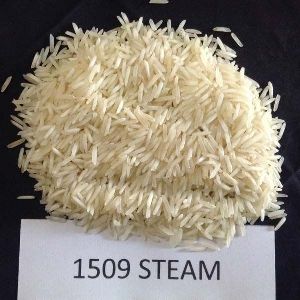 1509 steam basmati rice