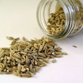 European Quality Fennel Seeds