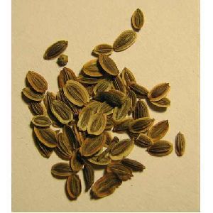 Dill Seed Oil (BP/USP Grade)