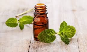 Peppermint Oil Any Grade