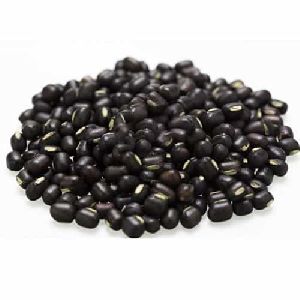 urad dal