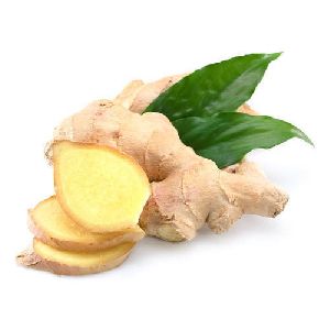 raw ginger