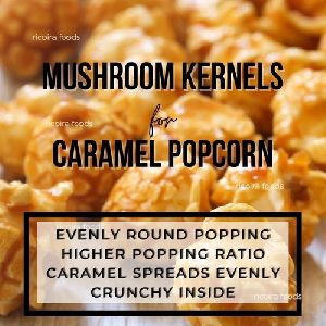 Popcorn Mushroom Kernel