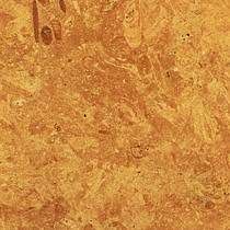 Flowery Gold Sandstone