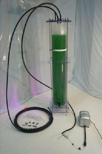 Algae Photobioreactor Tube