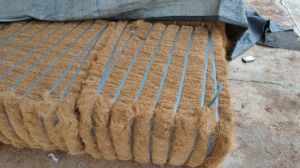Coconut Fibers