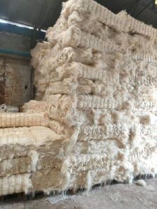 Sisal Fibre