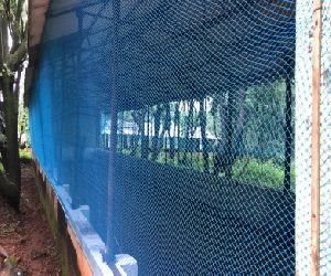 PVC Fencing Nets, Color : Green at Rs 55 / Square Meter in Indore - ID:  6525056