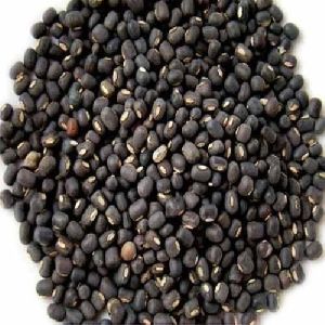 Organic Urad seeds