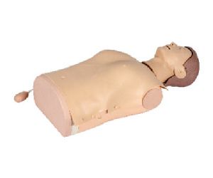 Half Body CPR Training Manikin
