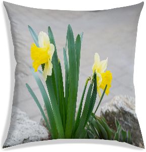 Cushion Daffodil 12