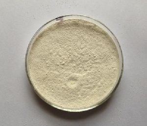 Tamarind Gum Powder