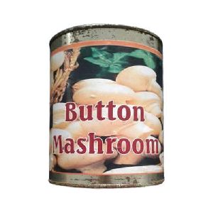 button mushroom