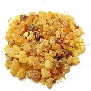 Boswellia Resin