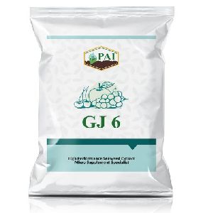 GJ6 Lite Micro Supplement Powder