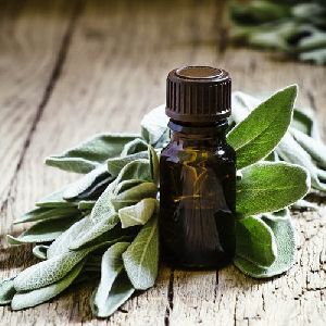 Sage Oil