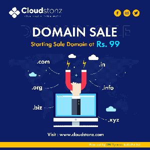 Domain and Hosting Services