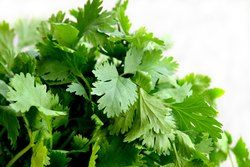 coriander seeds