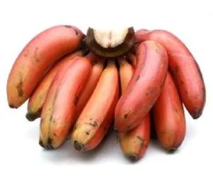 Fresh Red Banana