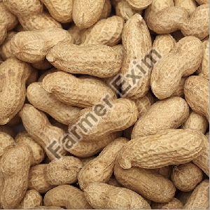 Shelled Groundnuts