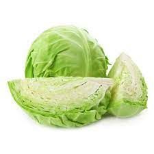 fresh cabbage