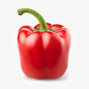 Fresh Red Capsicum