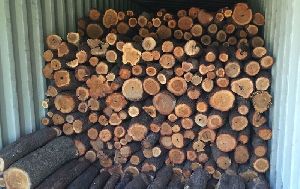 Brown Sandalwood Logs