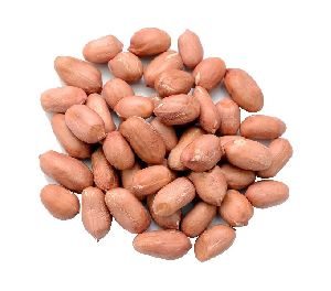 dried peanut kernel