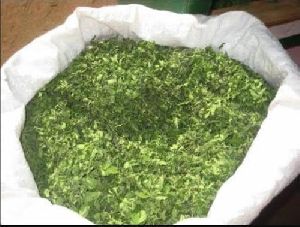 Green Moringa Dried Leaves
