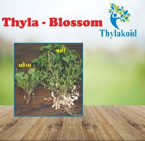 Thyla-Blossom Plant Growth Regulator