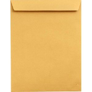 Brown Paper Envelopes